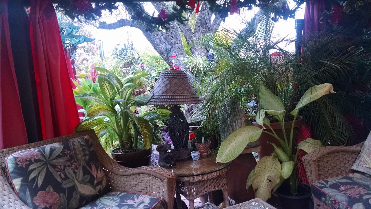Don'S Elegante Bed & Breakfast Phoenix Bagian luar foto