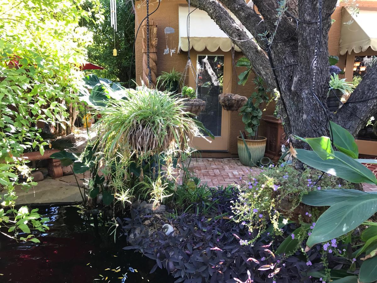 Don'S Elegante Bed & Breakfast Phoenix Bagian luar foto